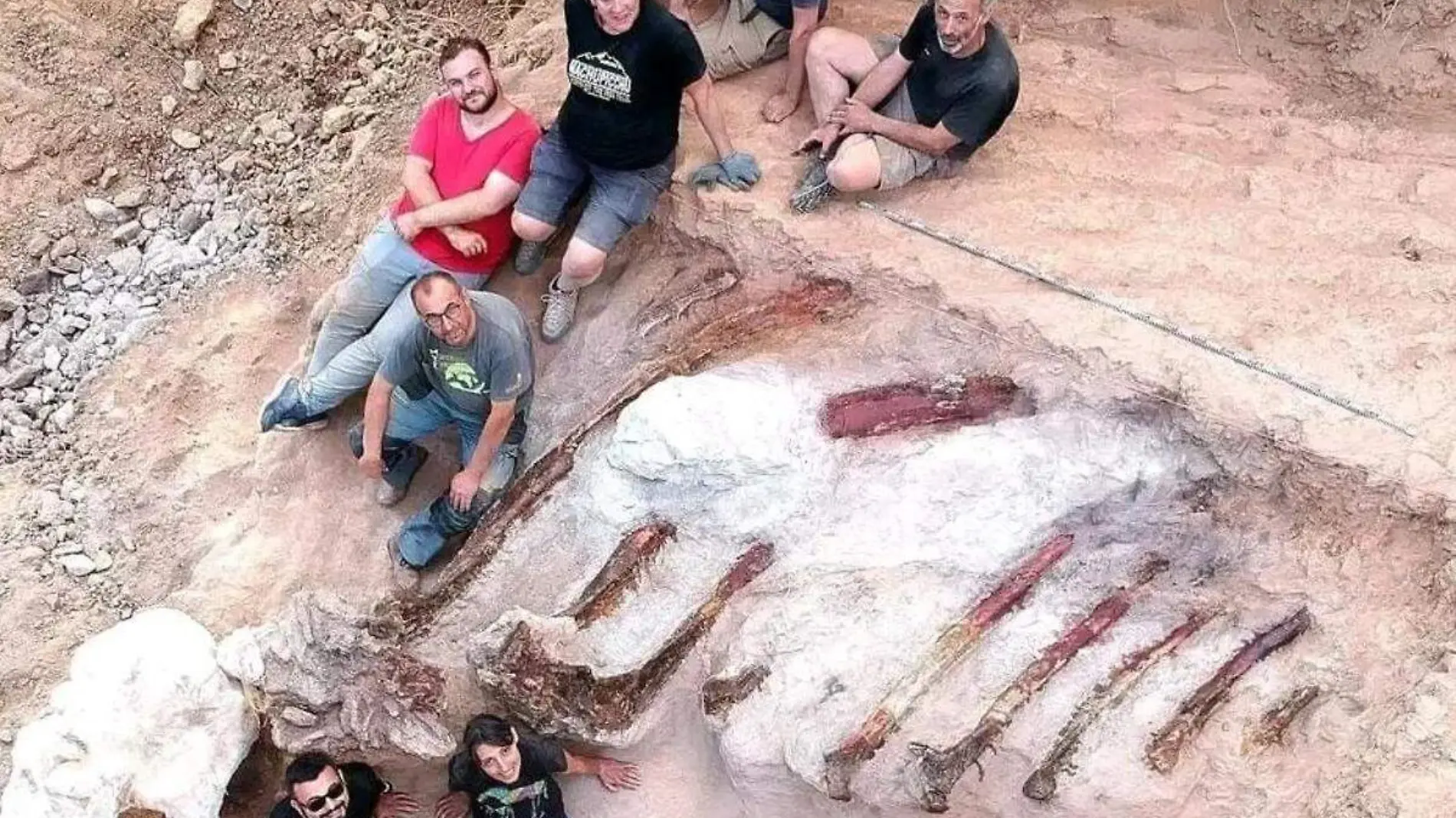 Restos fosiles de dinosaurio encontrados en Portugal